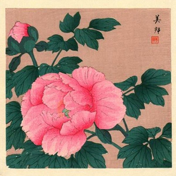 Champagne Peony Duo